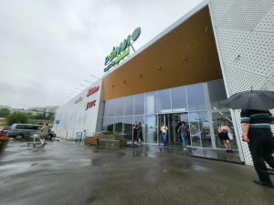 Реми Народный