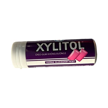 Жевательная резинка Lotte Xylitol мята-черника мини-банка 26,1г