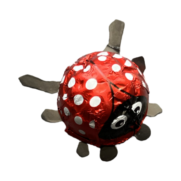 Shokoladnye konfety Bozhya korovka s orekhovym kremom 8g