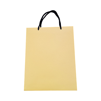Пакет SNAX SX-07 25x13x32см