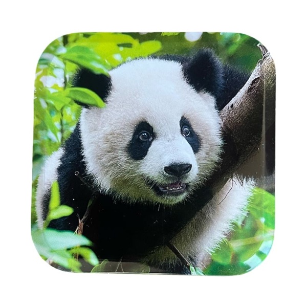 Karamel Monpanse ledentsovaya Zoopark 60g